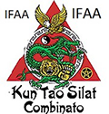 kun tao silat